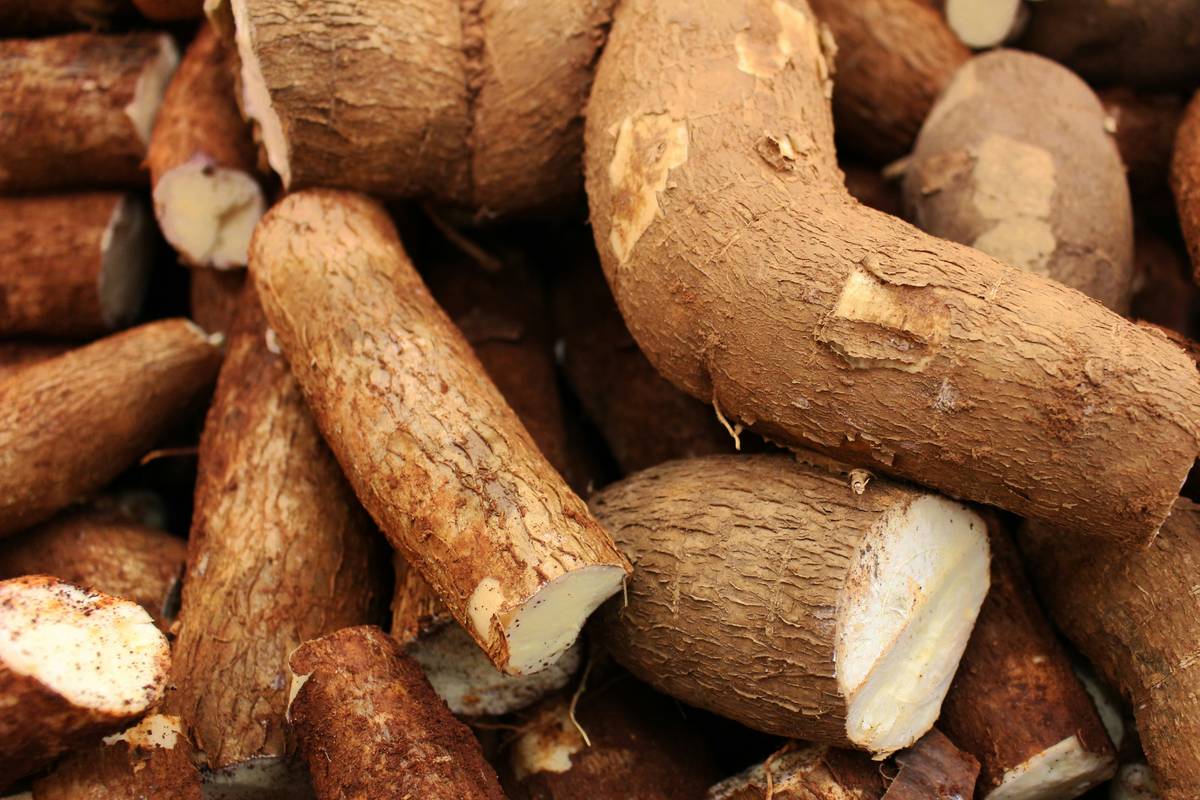 natural essence extract benefit of using: Why Your Skin Secretly Craves What Labs Can’t Replicate
