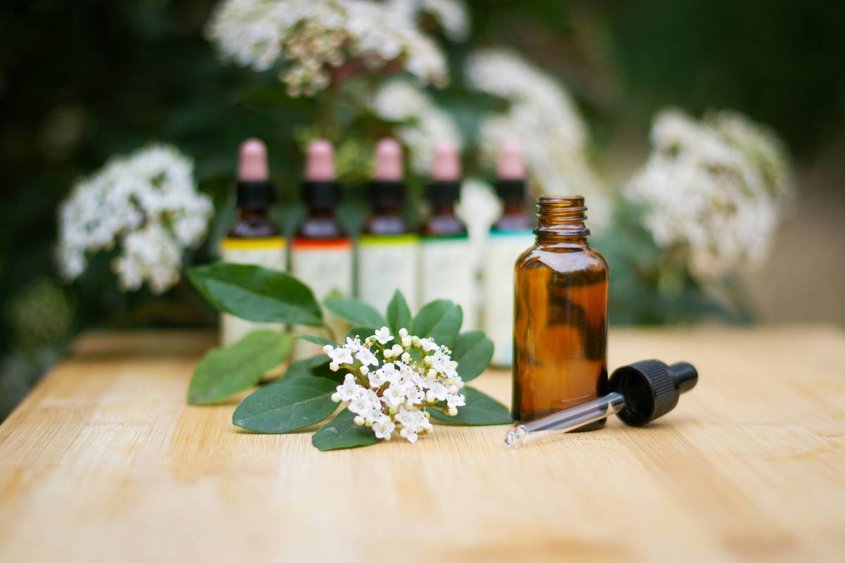 Comparison of organic extracts for skin care showing color and texture differences based on extraction method